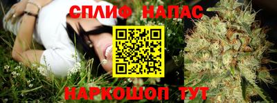 прущие грибы Комсомольск-на-Амуре