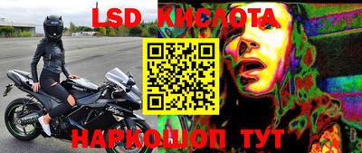 прущие грибы Комсомольск-на-Амуре
