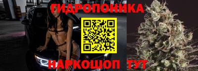 прущие грибы Комсомольск-на-Амуре