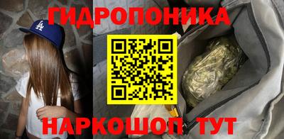прущие грибы Комсомольск-на-Амуре