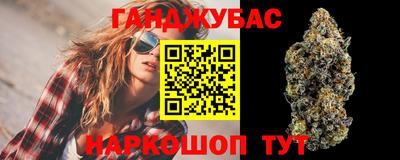 прущие грибы Комсомольск-на-Амуре