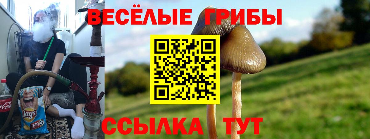 Псилоцибиновые грибы мухоморы  Вход с VPN  Киров 